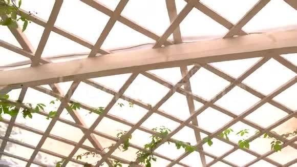 木制的佩高拉屋顶视频的预览图