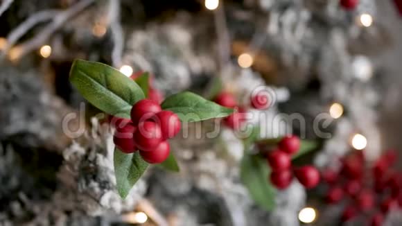 挂在白雪覆盖的圣诞树上的红色装饰浆果视频的预览图