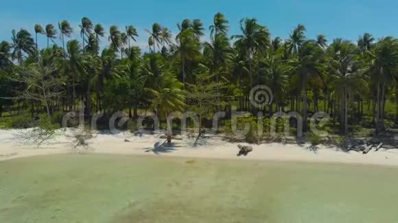 热带海岸白色沙滩绿松石水和棕榈树中间的女性鸟瞰图视频的预览图