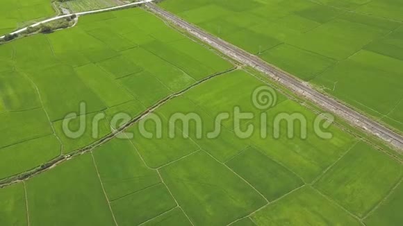 水稻种植和铁路鸟瞰图无人机在村庄里观看绿色稻田农业工业农业和视频的预览图