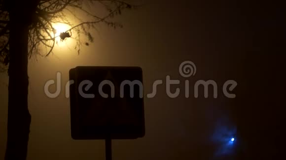 城市雾中的夜间人行横道交通安全视频的预览图