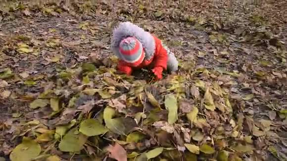 小男孩在公园秋天的树叶中跌倒视频的预览图