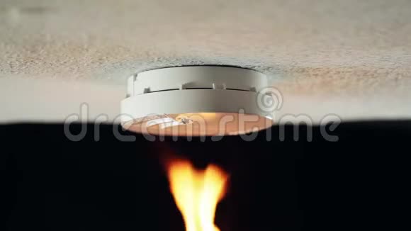 天花板上的烟雾探测器视频的预览图