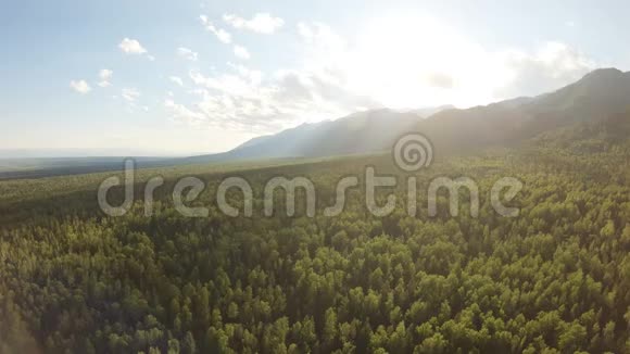 航拍美丽的山景有人在森林上空飞行视频的预览图