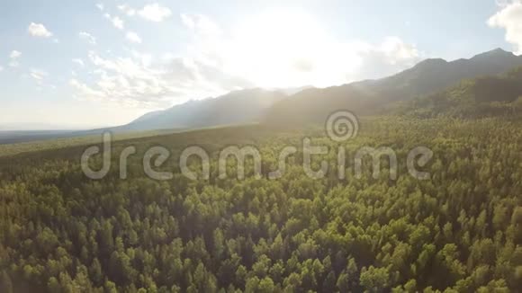 航拍美丽的山景有人在森林上空飞行视频的预览图