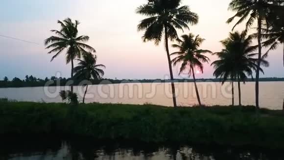 棕榈树剪影夕阳视频的预览图