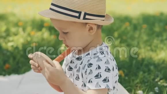 小男孩在野餐时玩玩具幸福家庭概念视频的预览图