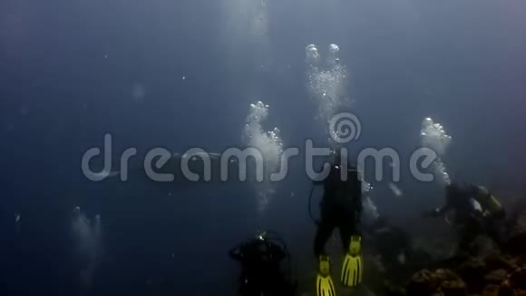 潜水员和巨大的曼塔射线斜坡鱼在水下深度游泳视频的预览图