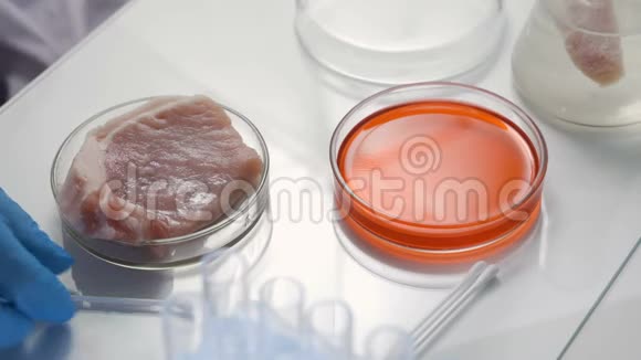 实验室技术人员对肉类进行微生物测试视频的预览图