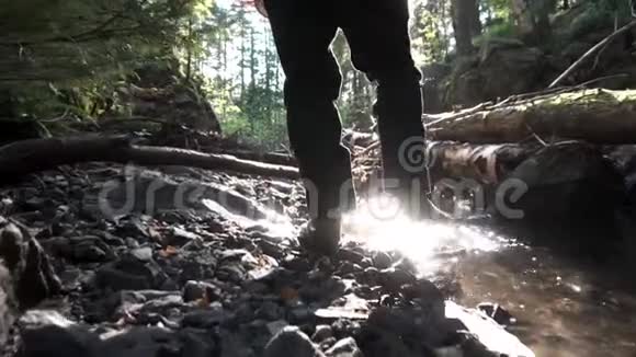 盖伊露营者在小溪中行走的后景树干和岩石动作缓慢录像游客视频的预览图