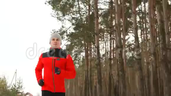 一个穿红色夹克的职业跑步者在冬天的松林里锻炼身体视频的预览图
