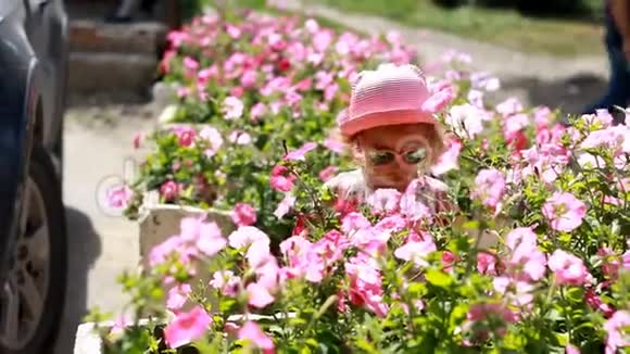 戴着粉红色眼镜和帽子的小女孩嗅着牵牛花的香气夏天的概念快乐爱视频的预览图
