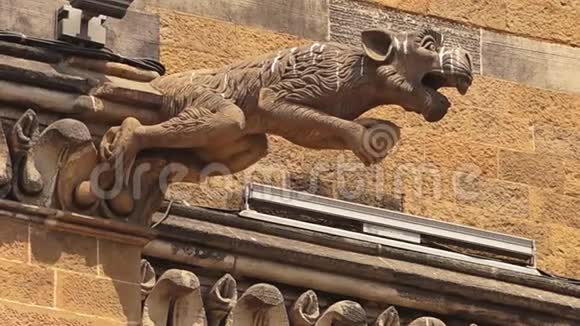 一尊可怕的动物雕像挂在印度建筑上视频的预览图