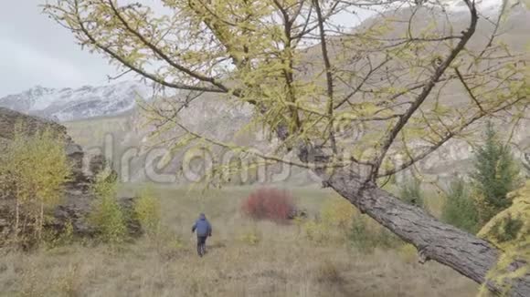 徒步旅行者在秋林小径上奔跑的后景视频的预览图
