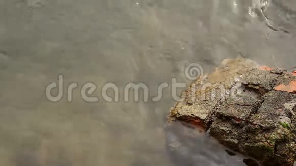 河环里的石头视频的预览图