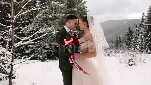 新婚的新郎和新娘在白雪皑皑的常绿林中拥抱亲吻和抚摸视频的预览图
