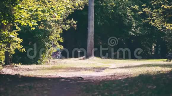 美丽的年轻女子骑着自行车在夏日阳光明媚的绿丛中视频的预览图
