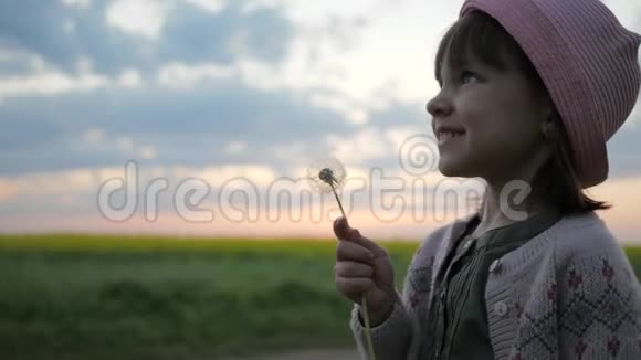 吹蒲公英肖像可爱的孩子女孩女孩子吹在吹球花快乐的孩子在大自然中视频的预览图