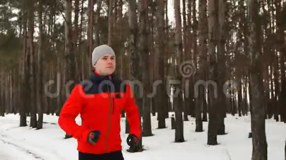 一个穿着红色运动夹克的人在冬天穿过松林视频的预览图