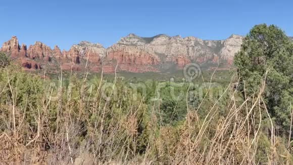 亚利桑那州塞多纳通过高大的草地和灌木丛看到塞多纳山脉的景色视频的预览图
