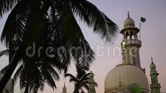 一座印度历史建筑耸立在棕榈树上视频的预览图