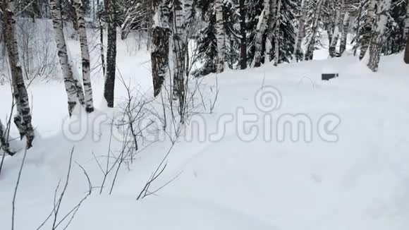 穿着蓝色头罩夹克的面目全非的女人从雪山上下来在雪道上跌倒视频的预览图