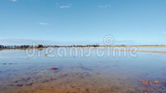 西班牙埃布罗三角洲稻田橙色和茶色的天空水反射视频的预览图