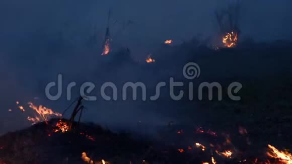 野火趁夜间干旱特写农业焚烧农田的烟雾和空气污染视频的预览图