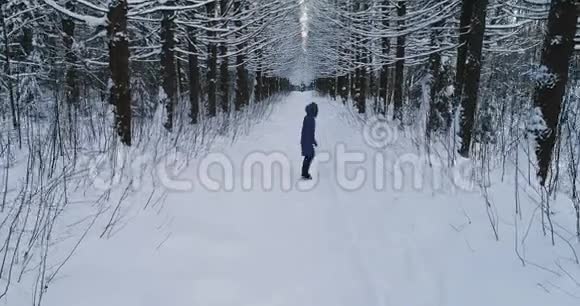 空中视频的女人穿着温暖的衣服走在冬天的森林走在雪的小径上的树木小巷视频的预览图