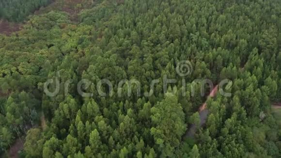 多云天气下的绿色森林从无人驾驶飞机上拍摄视频的预览图