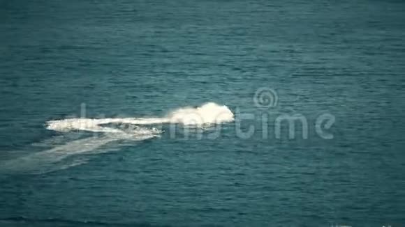 喷气滑雪骑手在海上玩得很开心Telephoto镜头拍摄视频的预览图