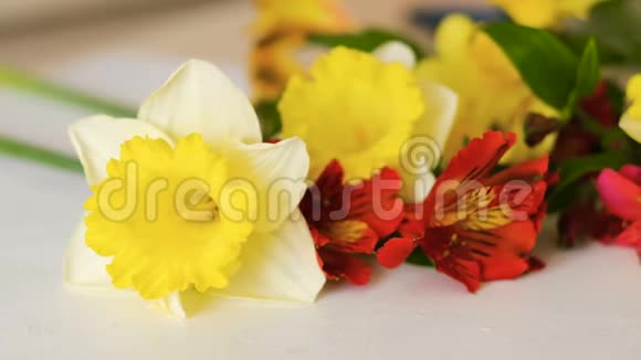 花饰黄色水仙红色阿尔斯特洛美里亚视频的预览图