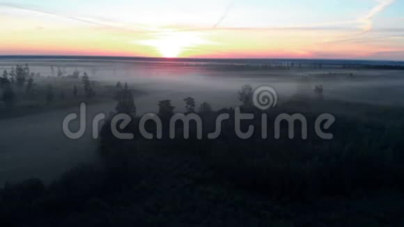 鸟瞰可怕的幽灵雾蒙蒙的早晨大自然黑暗的风景雾蒙蒙的风景视频的预览图