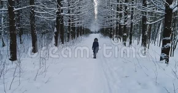 空中视频的女人穿着温暖的衣服走在冬季森林顶部的维尤视频的预览图