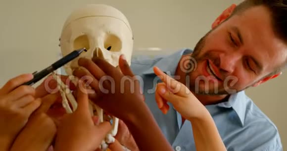 白种人男教师在学校4k教室中固定人体骨架模型视频的预览图