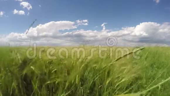 绿野和云天视频的预览图