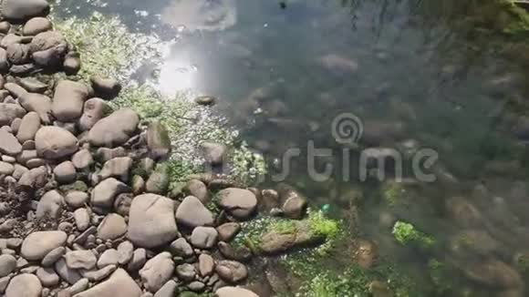 山间小溪有石头长满了藻类视频的预览图