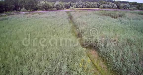 苇田木桥和铁路近沼泽的空中钻景视频的预览图