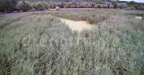 峡谷芦苇田的空中钻景和靠近沼泽的铁轨视频的预览图