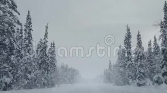 在空荡荡的冬日道路上驾驶着雪花视频的预览图