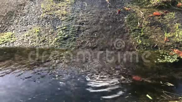 污水流入排水渠波纹视频的预览图