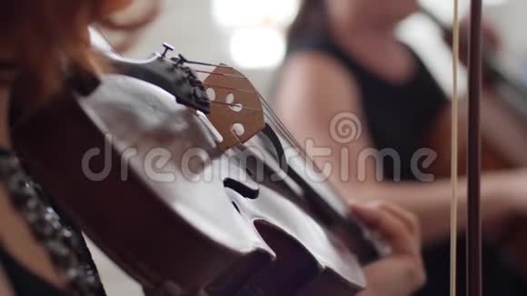 小提琴演奏在管弦乐队的模糊背景特写小提琴视频的预览图