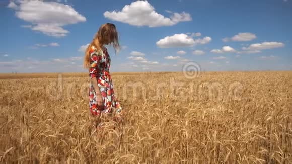 穿着衣服的女人站在田野的中央手里拿着小麦和直发视频的预览图