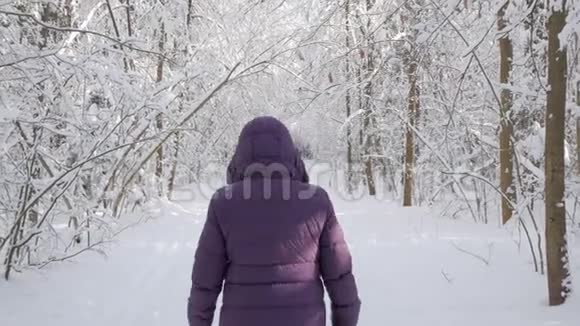 女人离开镜头走进冬林视频的预览图