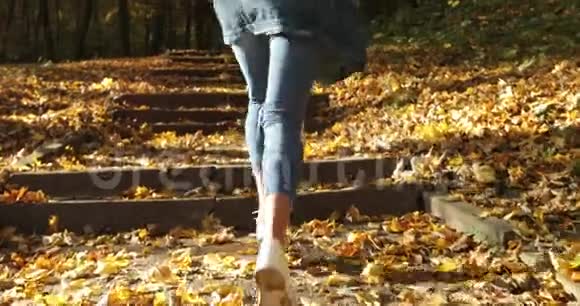 秋天公园里的女跑步者穿着慢跑服女人的腿部特写镜头穿着覆盖着脚步的短裤奔跑视频的预览图