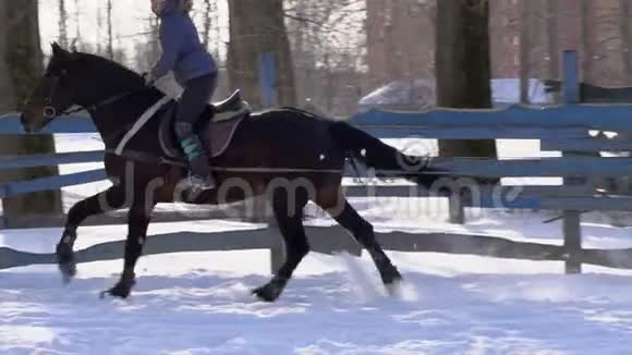 下马一个女孩骑着马在驰骋一匹马正用绳子拖着一个滑雪者一个滑雪者骑在船上视频的预览图