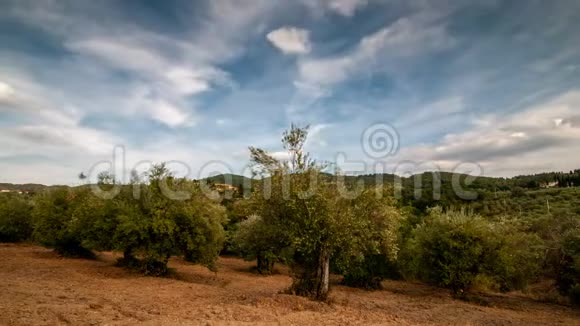 托斯卡纳美丽的橄榄树云彩在蓝天上掠过视频的预览图