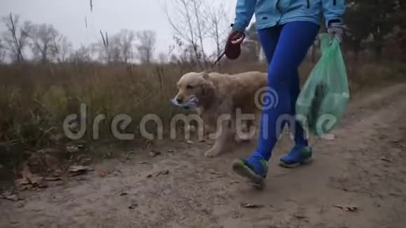 女主人带着狗在林地里打犁视频的预览图