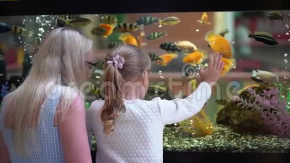 孩子看着小女孩在购物中心的水族馆里看鱼宠物店妈妈和她的小女儿看海视频的预览图