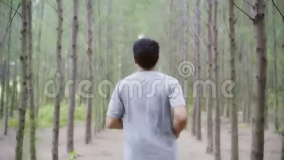 健康英俊年轻运动运动亚洲跑步者穿运动服装在森林小径上跑步和慢跑视频的预览图